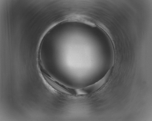 X0000070241152200606021123