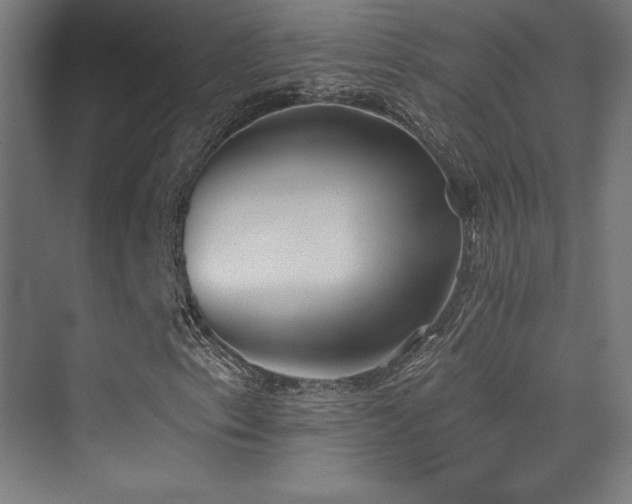 X0000070241153200606021123