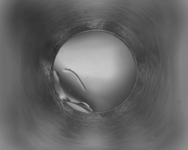 X0000070241154200606021123