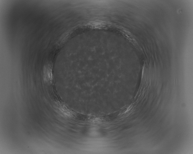 X0000070241155200606021122