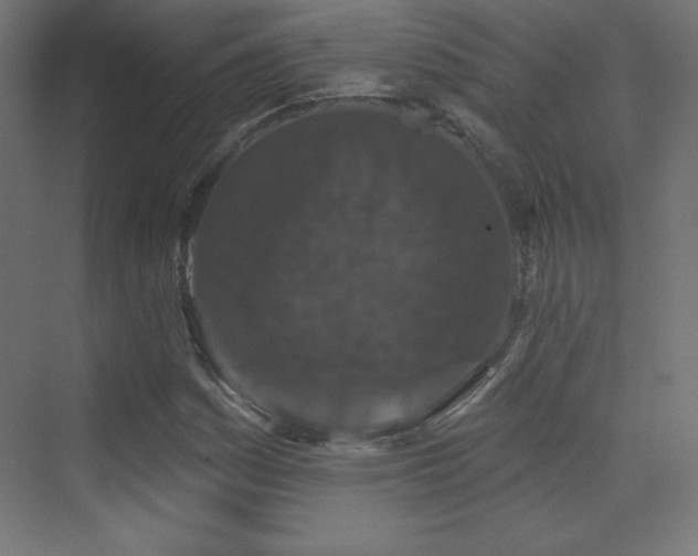 X0000070241161200606021122