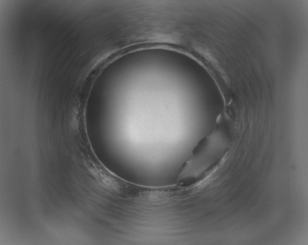 X0000070241163200606021122