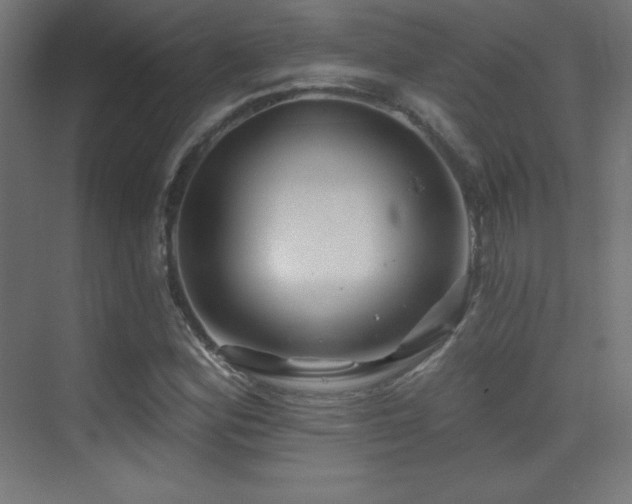 X0000070241164200606021122