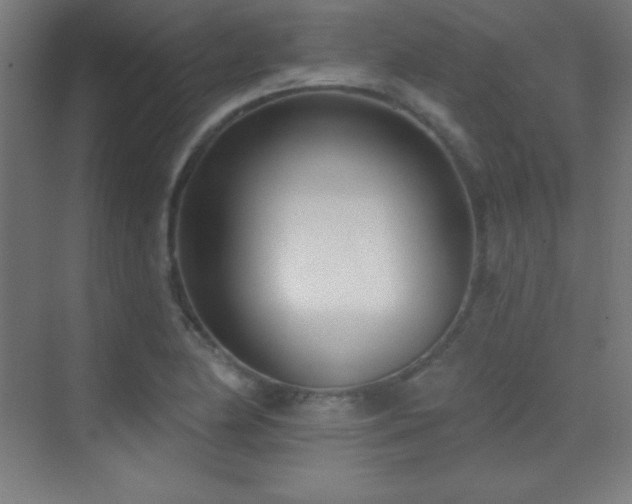 X0000070241174200606021122