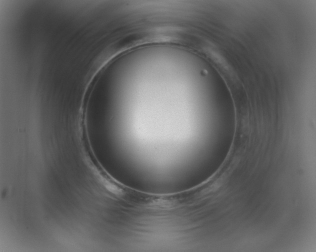 X0000070241178200606021122
