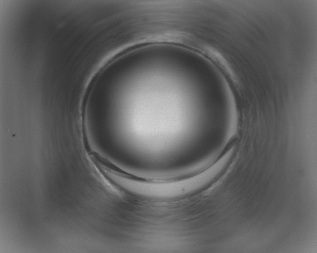 X0000070241184200606021122