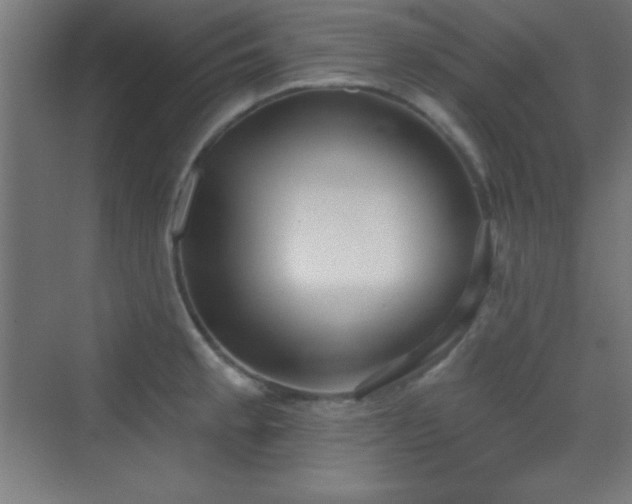 X0000070241189200606021122