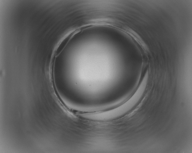 X0000070241196200606021122