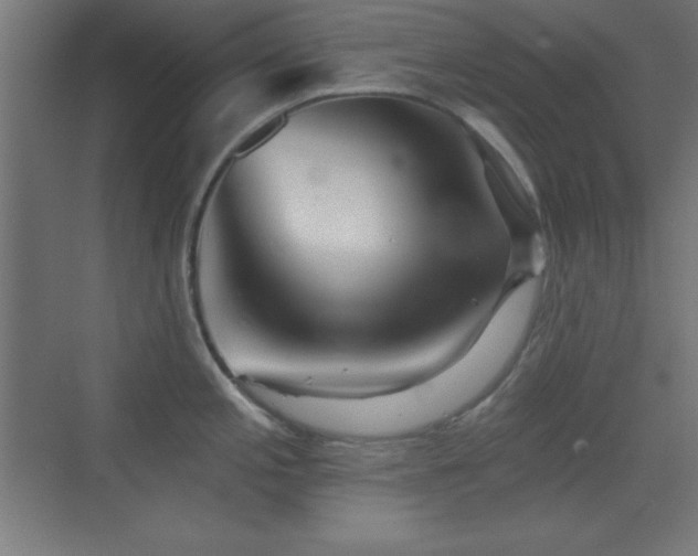 X0000070241197200606021122