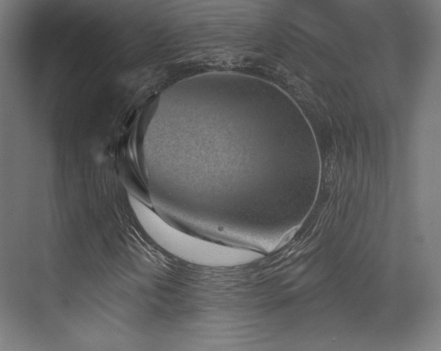 X0000070241202200606021121