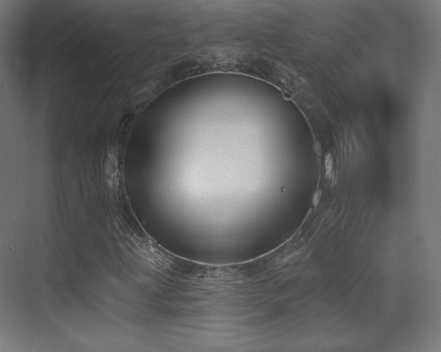 X0000070241203200606021121