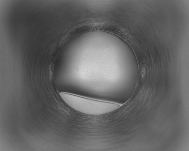 X0000070241204200606021121