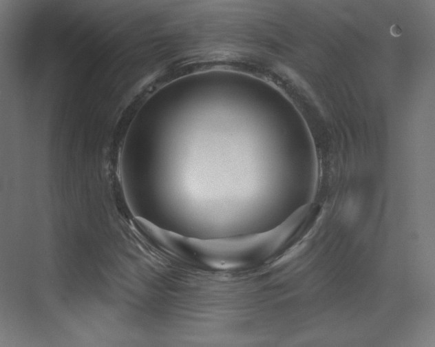 X0000070241210200606021121