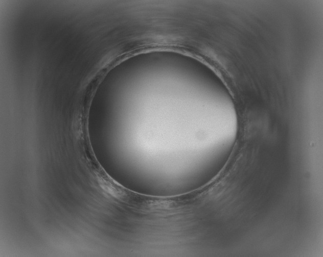 X0000070241211200606021121