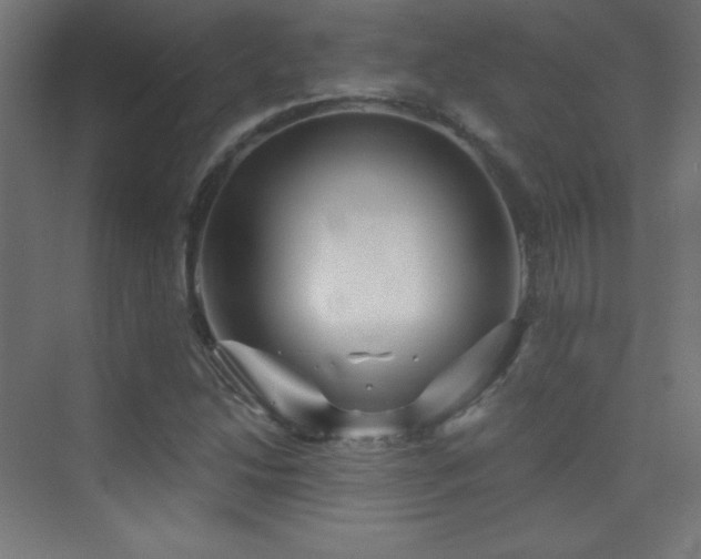 X0000070241214200606021121