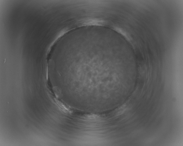X0000070241219200606021121