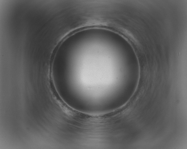 X0000070241220200606021121
