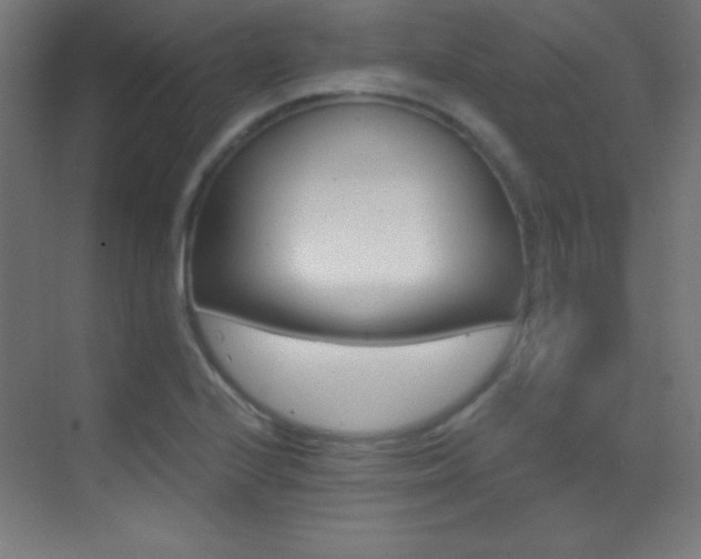X0000070241224200606021121