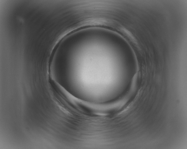 X0000070241226200606021121
