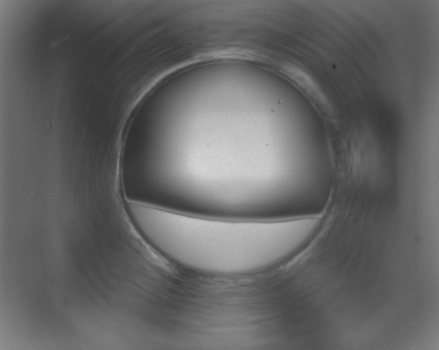 X0000070241228200606021121