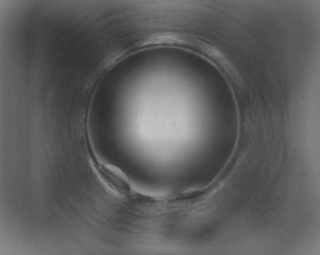 X0000070241233200606021121