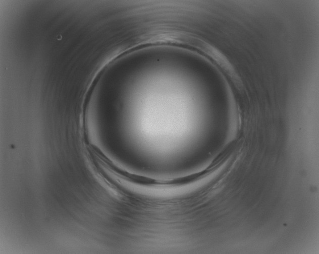 X0000070241234200606021121