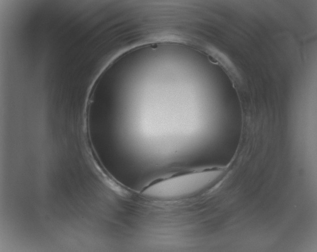 X0000070241236200606021122