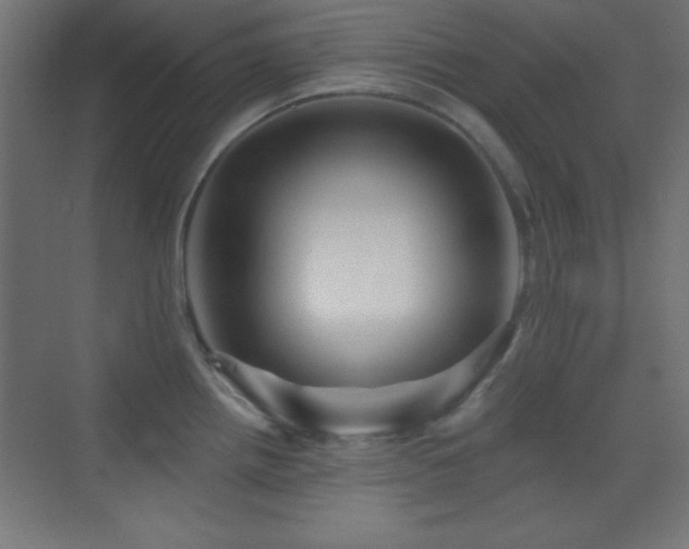 X0000070241242200606021122