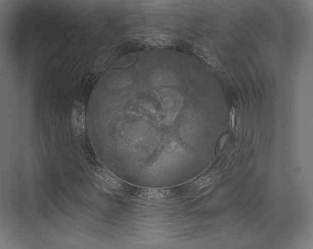 X0000070241251200606021121