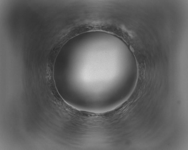 X0000070241253200606021121