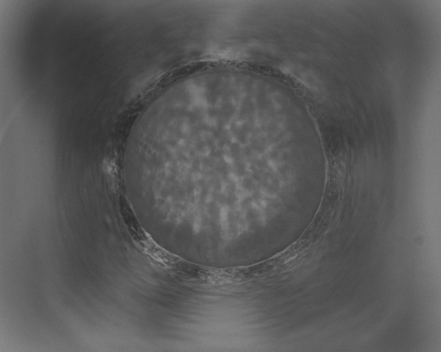 X0000070241254200606021121
