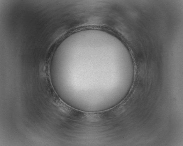 X0000070241258200606021121
