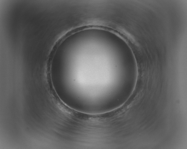 X0000070241264200606021121