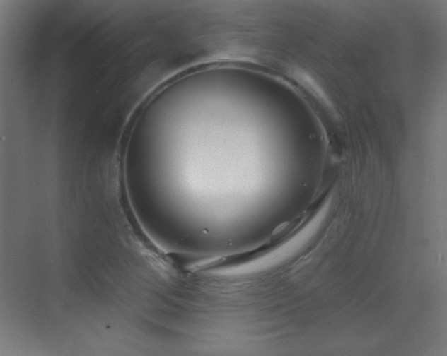 X0000070241268200606021121