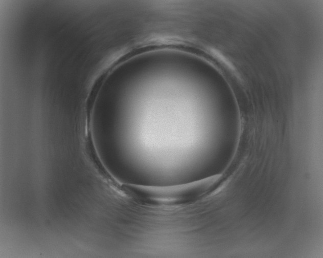 X0000070241269200606021121
