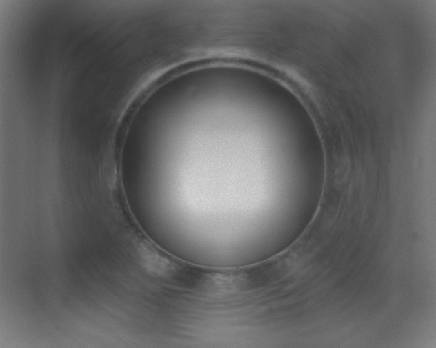 X0000070241271200606021121
