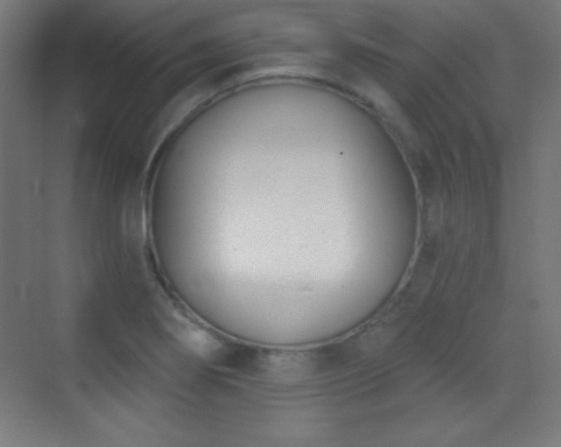 X0000070241274200606021120