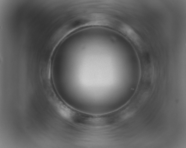 X0000070241276200606021120