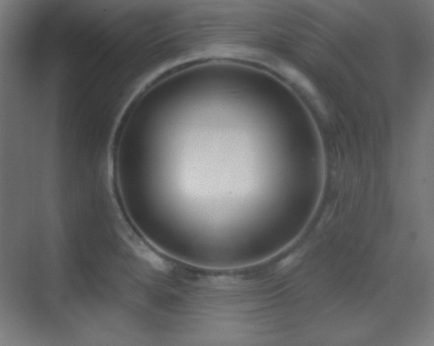 X0000070241280200606021120
