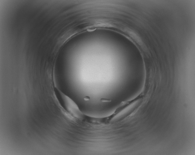 X0000070241281200606021120
