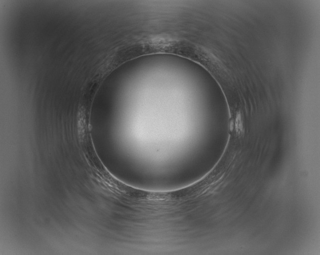 X0000070241299200606021119