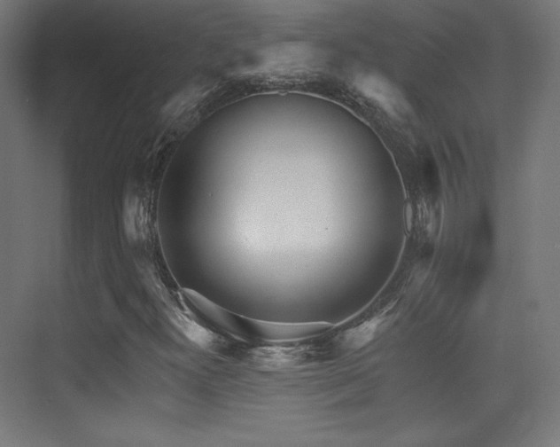 X0000070241300200606021119