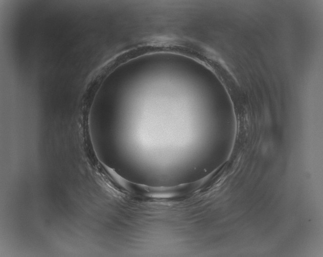 X0000070241304200606021119