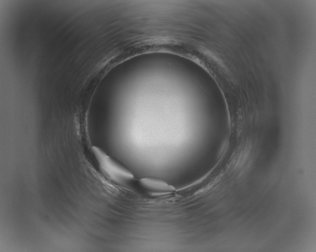 X0000070241305200606021119