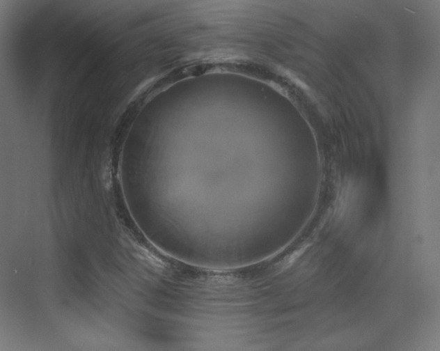 X0000070241306200606021119