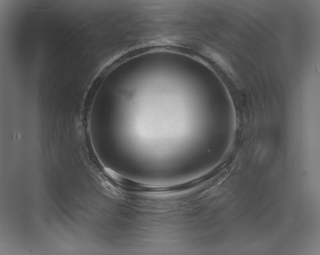 X0000070241308200606021119