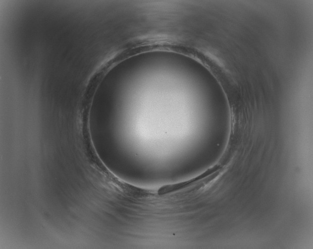 X0000070241309200606021120