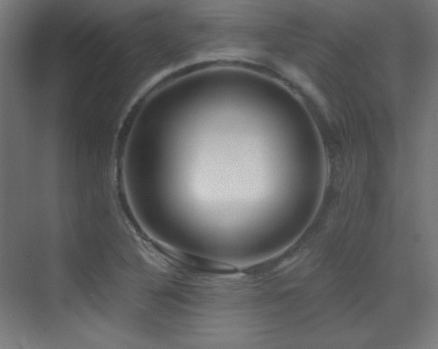 X0000070241316200606021120