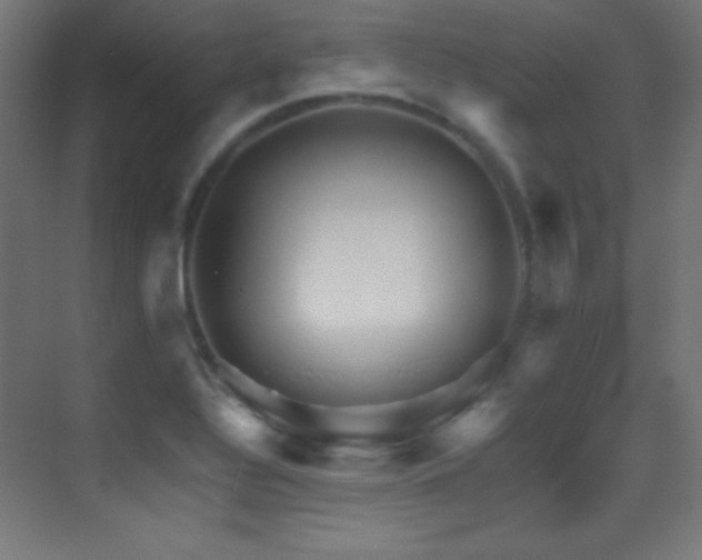 X0000070241320200606021120