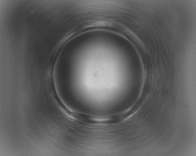 X0000070241321200606021120